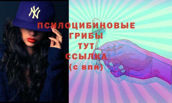 MDMA Premium VHQ Аркадак